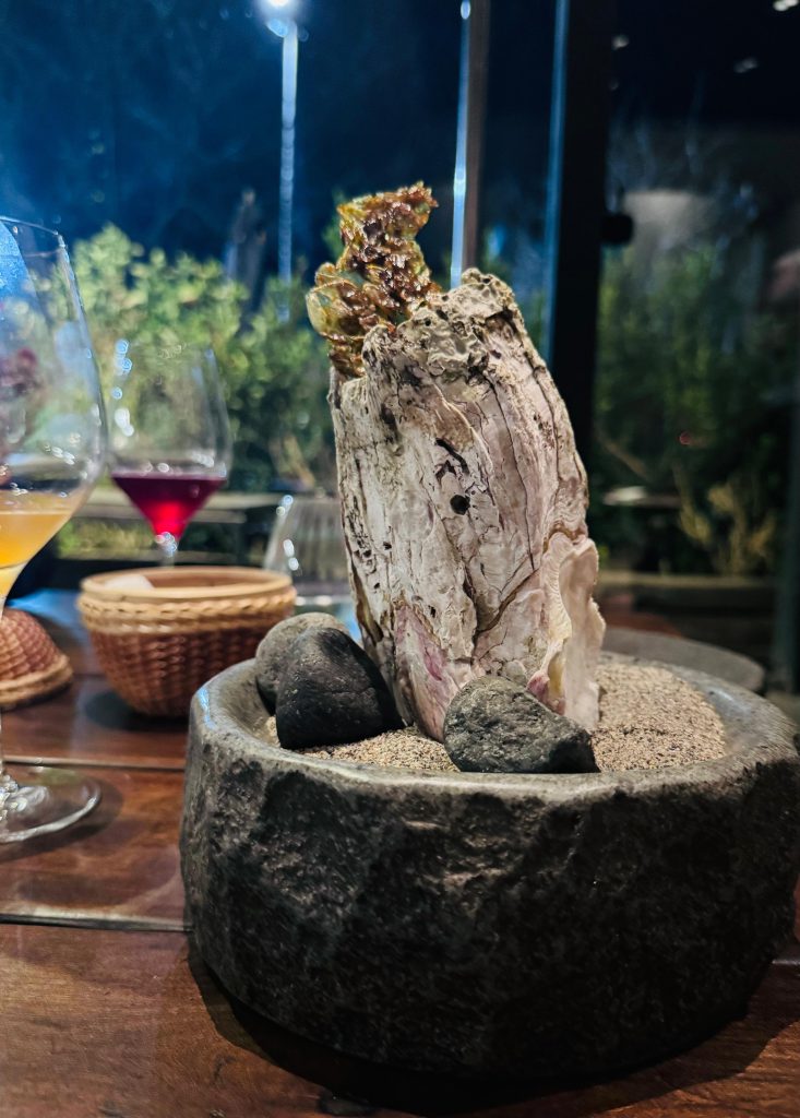 boragó-un-viaje-a-la-excelencia-del-sur-sur-en-américa
