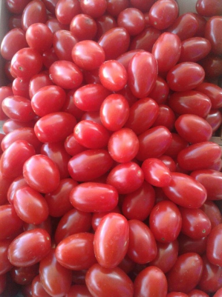tomates-bombon-valencianos