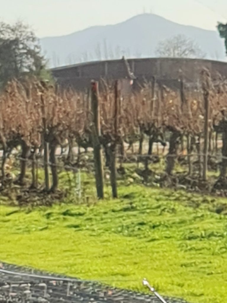 Viña-Almaviva