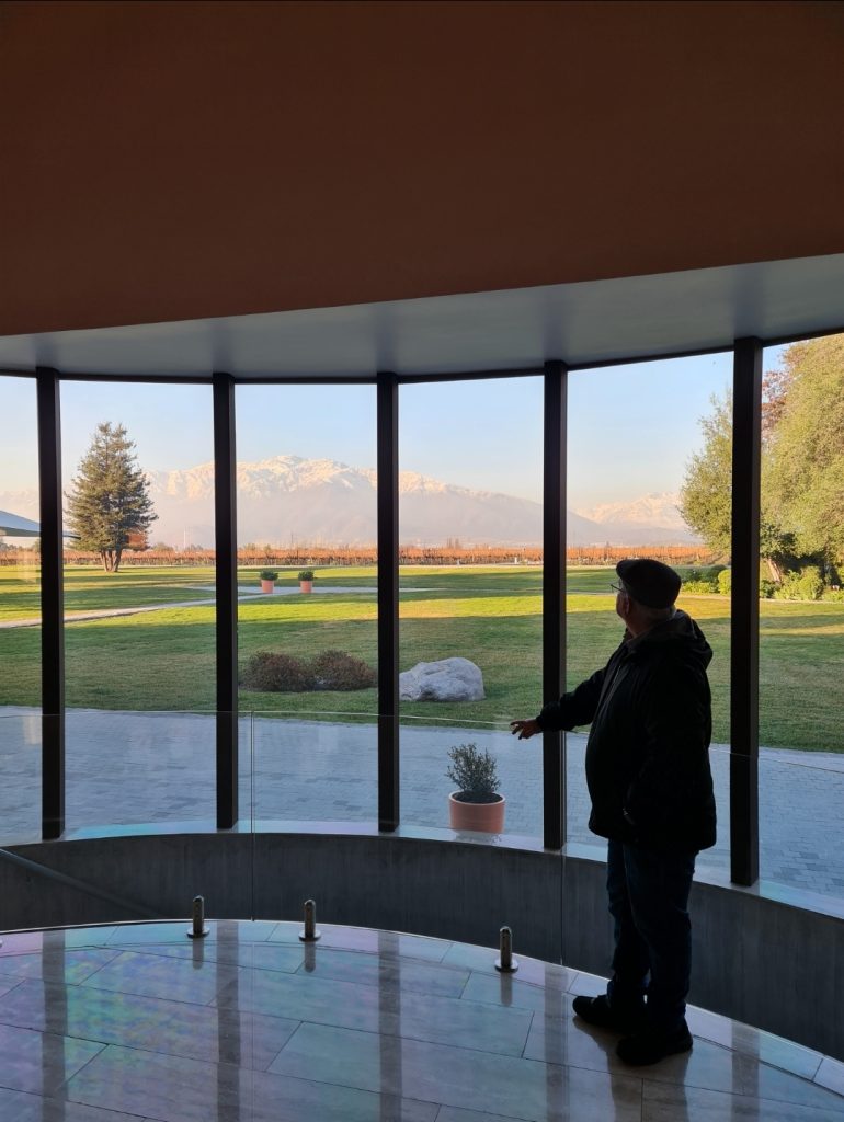 Viña-Almaviva